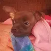 Janet Bosley - @janet.bosley - TikTok