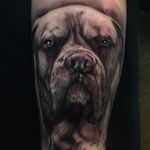 Jane bosman - @bosmanjaney - Instagram
