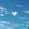 janebossesdotter - @janebossesdotter - TikTok