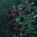 Jane Boudreau - Facebook