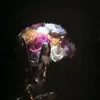 Janet Boudreau - @janet.boudreau6 - TikTok