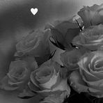 Jane Bourgeois - Facebook