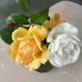 Jane Bowden - Facebook