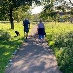 Jane Bowden - @janebow1946 - Instagram