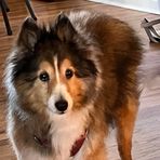 Jane Miller Bowser - Facebook