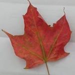 Jane Boyce - @babyjane046 - Instagram