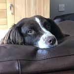 Jane Boyce - @boyce_jane73 - Instagram