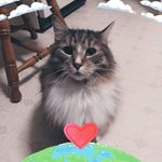 Jane Boyce - @janeboyce046 - Instagram