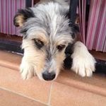Jane Boyce Flay - @janeboyceflay - Instagram