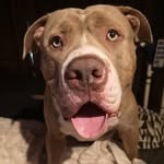 Jane Boyett Lucas - @boyettlucas - Instagram