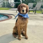 Murphy Jane Boykin - @murphyjane33 - Instagram