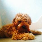 Amanda Jane Boylan - @aboylan01 - Instagram