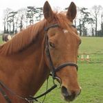 jane boyles - @boyles.jane - Instagram