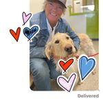 Jane Braatz Schneider - @janebraatzschneider - Instagram