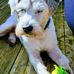Jane Bradbury - Facebook