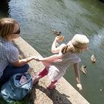Jane Bradbury - @jane.bradbury.146 - Instagram