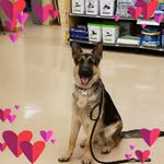 Jane Bramblett - @jane.bramblett.3 - Instagram