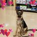 Jane Bramblett - Facebook