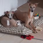 Jane Bramwell - Facebook