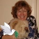 Jane Bramwell - @bramwell526 - Instagram