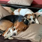 Jane Bramwell - Facebook