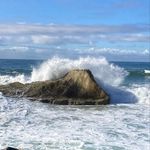 Jane Brandenburg - @brandenburg518 - Instagram