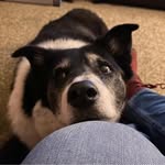 Jane Brandon - @squiggle2410 - Instagram