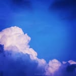 JaneBrandon - @jane.brandon693 - Instagram