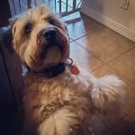 Jane - @janebrantley - Instagram