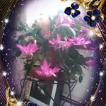 Janette Brantner - @janettebrantner - Instagram