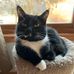 Jina Brantner - Facebook