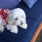 Janis Braswell - @jebone8 - Instagram