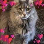 Janet Reed Brawley - @ljmmom12 - Instagram