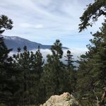 Jane Brayton - @jcbrayton - Instagram