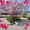 Jane Bremner - @jane.bremner6 - TikTok