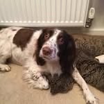 Jane Bridge - @janebridge37 - Instagram
