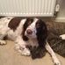 Jane Bridge - Facebook