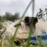 Jane Bridge - @jane.bridge.16 - Instagram
