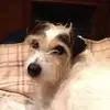 janebridge - @janebridge - TikTok