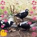 Jane Brightman - Facebook