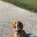 Janet Brindle - Facebook
