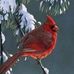 Jane Briner - Facebook
