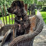 Janet Prins Brinkman - @prinsbrinkman - Instagram