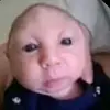 brinlee - @brinlee688 - TikTok