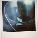 Jane Brinne - Facebook