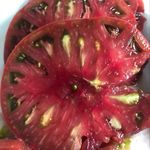 Jane Eberle-Brinson - @accidental_gardener60 - Instagram