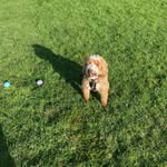 Jane Broadhead - @janebroadhead - Instagram