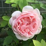 Jane Broadhead - @janey_b59 - Instagram