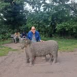 Jane Broadhead - @jane_broadhead65 - Instagram