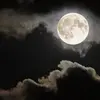 Janet Broadway - @janet.broadway - TikTok